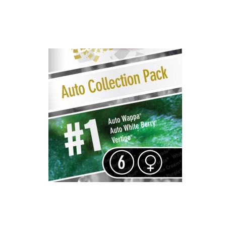 Auto Collection Pack Nr. 1 | Feminised, Auto, Indoor & Outdoor