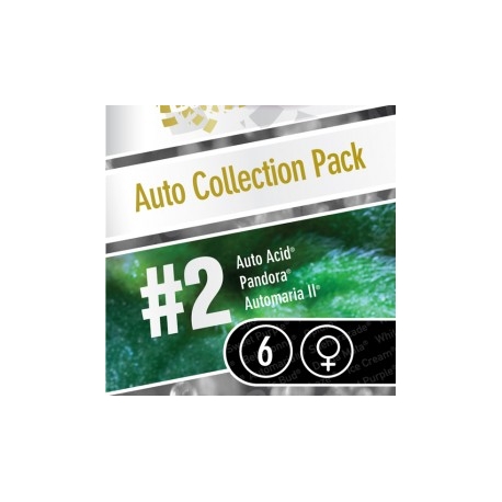 Auto Collection Pack Nr. 2 | Feminised, Auto, Indoor & Outdoor