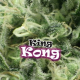 King Kong | Feminised, Indoor & Outdoor