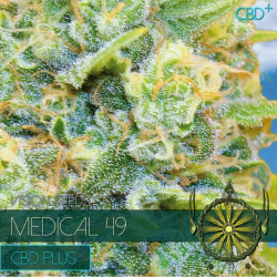 Medical 49 CBD+ | Feminised, Indoor & Outdoor