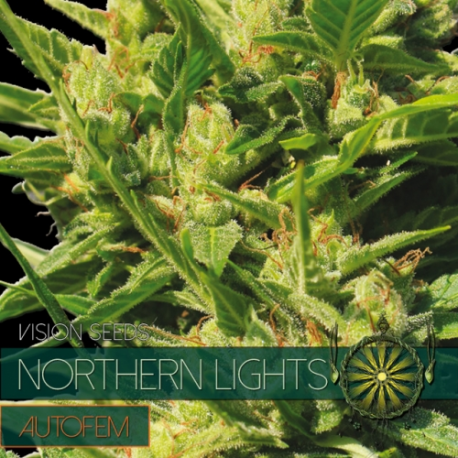 Northern Lights | Feminised, Auto, Indoor & Outdoor