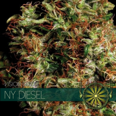 NY Diesel | Feminised, Indoor & Outdoor