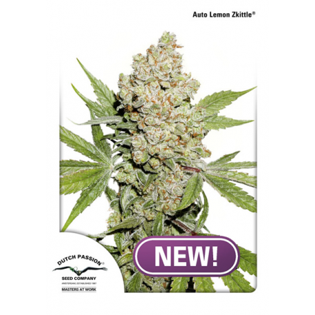 Auto Lemon Zkittle | Feminised, Auto, Indoor & Outdoor