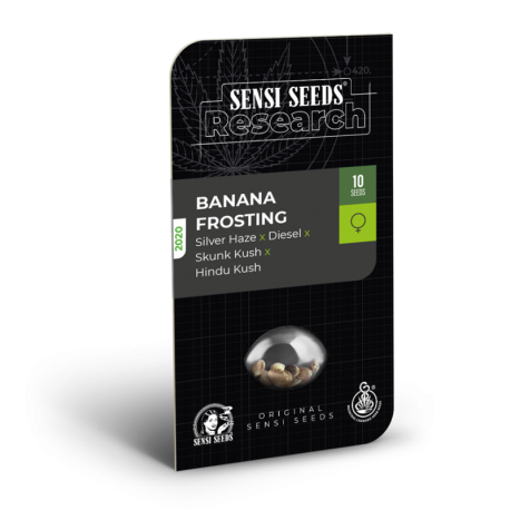 Banana Frosting | Feminised, Indoor & Outdoor