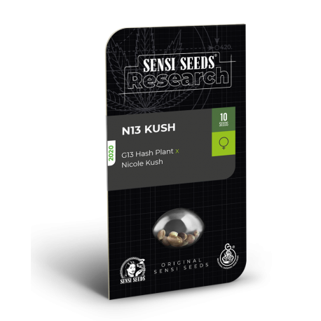 N13 Kush | Feminised, Indoor & Outdoor