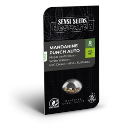 Mandarine Punch Auto | Feminised, Auto, Indoor & Outdoor