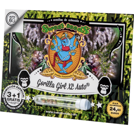 Gorilla Girl XL Auto | Feminised, Auto, Indoor & Outdoor