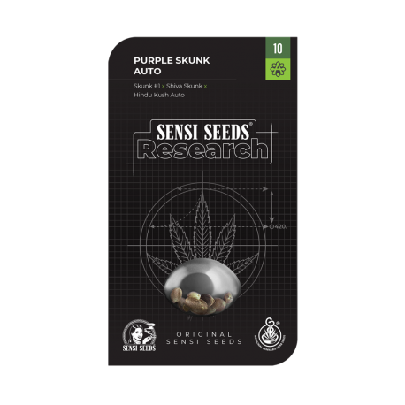 Purple Skunk Automatic | Feminised, Auto, Indoor & Outdoor