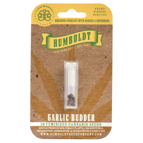 Garlic Budder | Feminised, Indoor & Outdoor