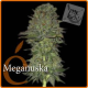 Meganuska | Feminised, Indoor & Outdoor