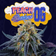 Peach Sherbert OG | Feminised, Indoor & Outdoor