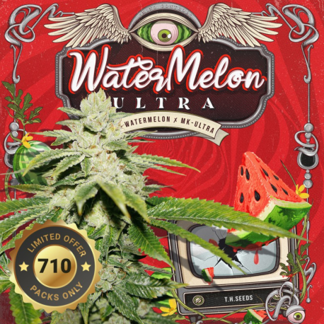 WaterMelon Ultra 710 special pack | Feminised, Indoor & Outdoor