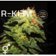R-Kiem | Indoor & Outdoor