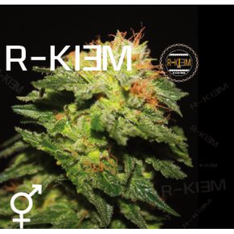 R-Kiem | Indoor & Outdoor