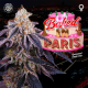 Baked in Paris | Feminised, Indoor & Outdoor