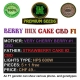 Berry Mix Cake CBD F1 | Indoor & Outdoor