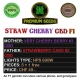 Straw Cherry Cake CBD F1 | Indoor & Outdoor