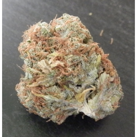 Courtesy S1 | Indoor & Outdoor