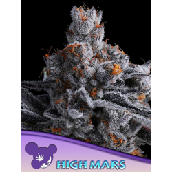 High MARS | Feminised, Indoor & Outdoor