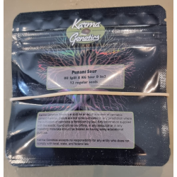 Punani Sour | Indoor & Outdoor