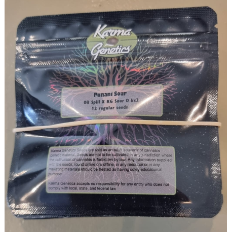 Punani Sour | Indoor & Outdoor