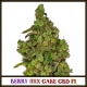 Berry Mix Cake CBD F1 | Indoor & Outdoor