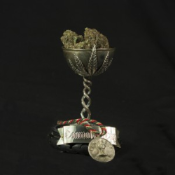 Shore Thing | Feminised, Indoor & Outdoor