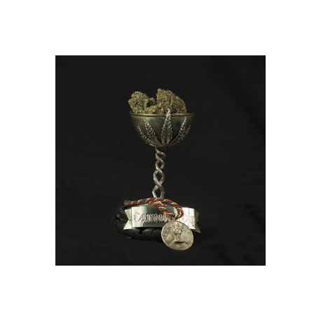 Shore Thing | Feminised, Indoor & Outdoor