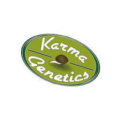 Pinky Sour | Indoor & Outdoor