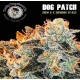Dog Patch | Indoor & Outdoor