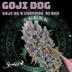 Goji Dog | Indoor & Outdoor