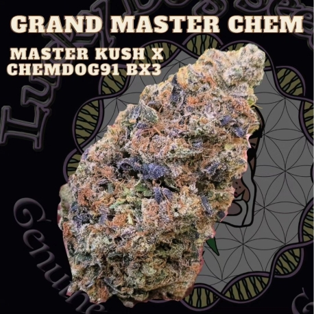 Grand Master Chem | Indoor & Outdoor