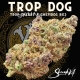 Trop Dog | Indoor & Outdoor