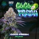 Coco Fresh | Feminised, Indoor & Outdoor