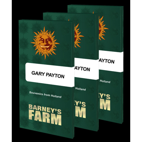 Gary Payton | Feminised, Indoor & Outdoor