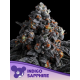 Indigo Sapphire | Feminised, Indoor & Outdoor
