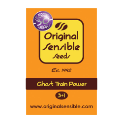 Ghost Train Power  | Feminised, Indoor & Outdoor