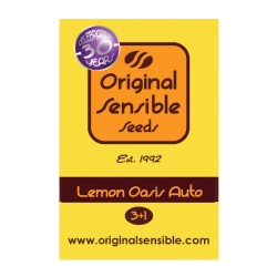 Lemon Oasis Auto | Feminised, Auto, Indoor & Outdoor
