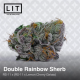 Double Rainbow Sherb | Feminised, Indoor & Outdoor