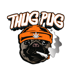 Hash Face | Indoor & Outdoor