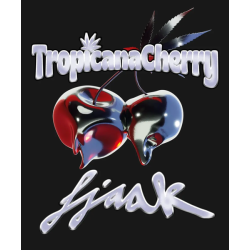 Tropicana Cherry | Feminised, Indoor & Outdoor