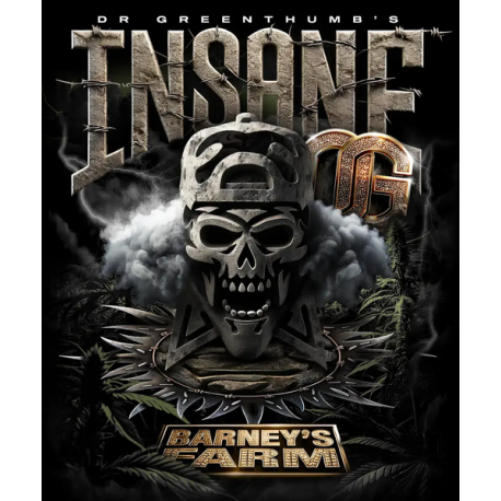 Insane OG | Feminised, Indoor & Outdoor