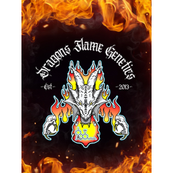 Black Death  | Indoor & Outdoor