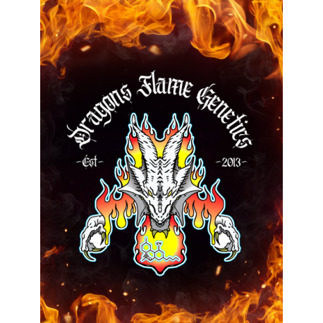 Triangle Moonshine | Indoor & Outdoor