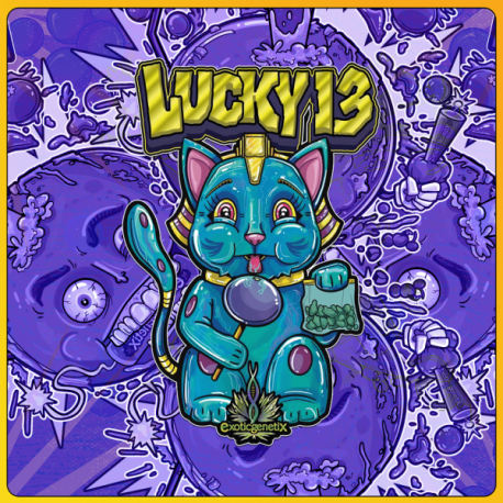 Lucky 13 | Feminised, Indoor & Outdoor