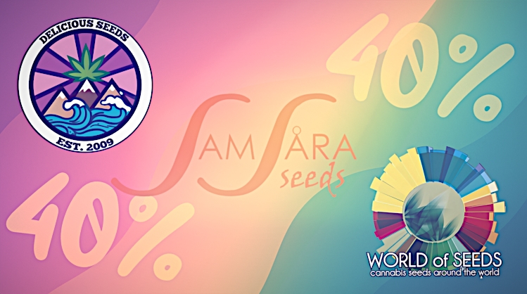 Delicious Seeds, Samsara, World of Seeds 40% Sale