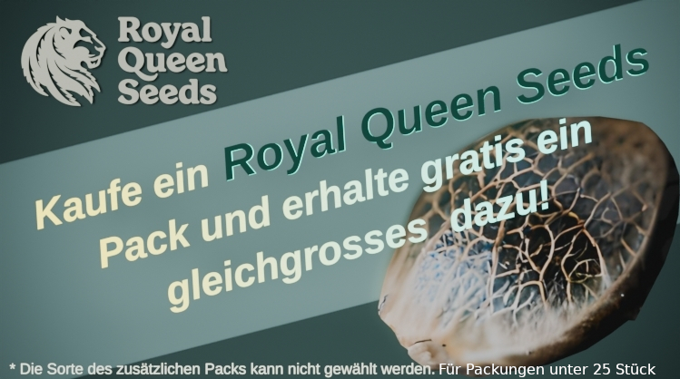 Royal Queen Seeds - Buy a pack, get two packs