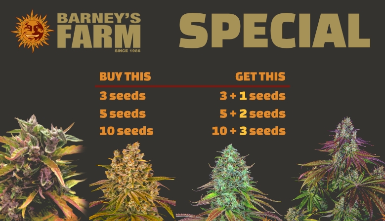 Barney's Farm Special