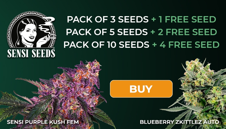 Sensi Seeds Promotion